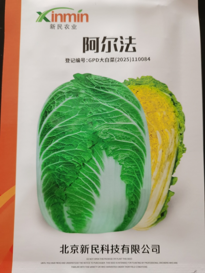 羞月626阿尔法君川美锦矮颗黄心春季优质黄心白菜