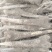 白玉山药，