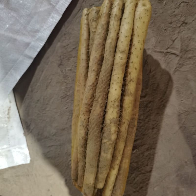 白山药小白嘴山药新鲜蔬菜生鲜山药多规格可选