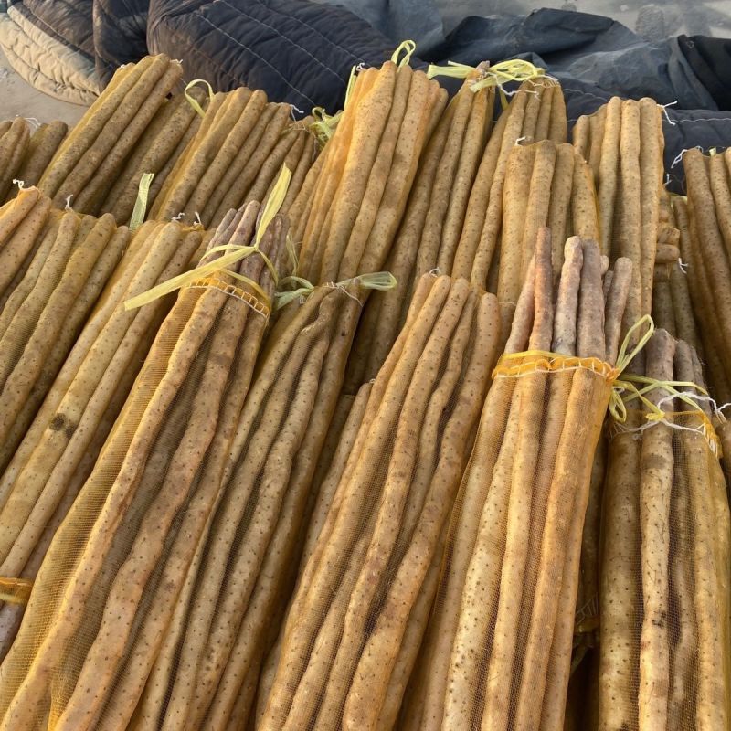 白山药小白嘴山药新鲜蔬菜生鲜山药多规格可选