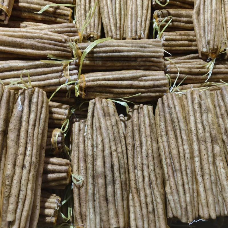 河北小白嘴山药高品质营养新鲜蔬菜山药蔬菜