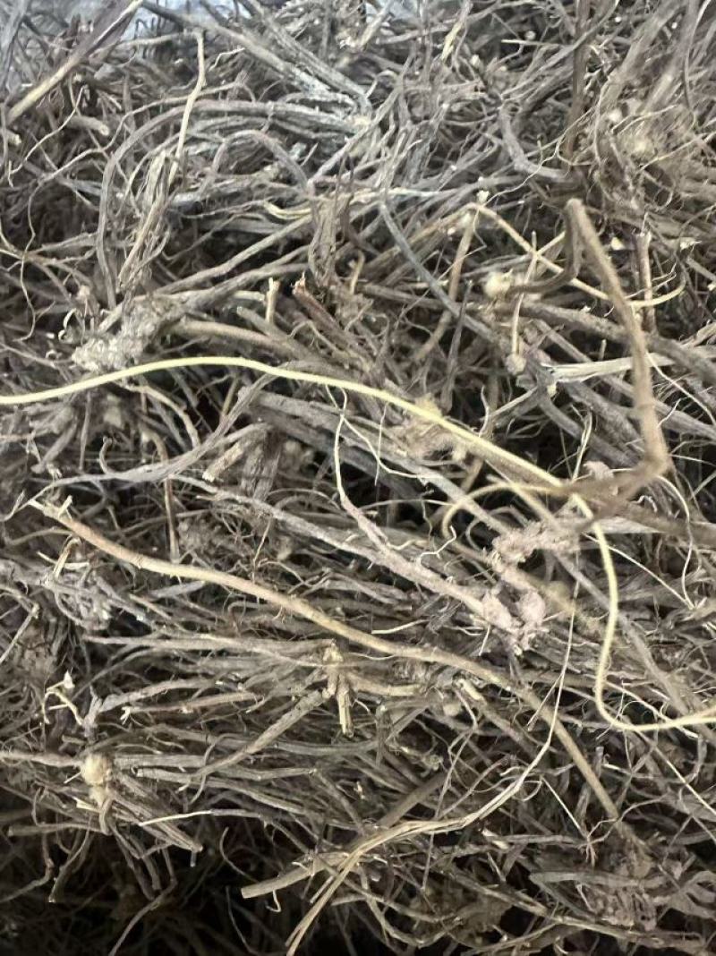 威灵仙云南野生威灵仙大货批发产地直发需要的老板详谈