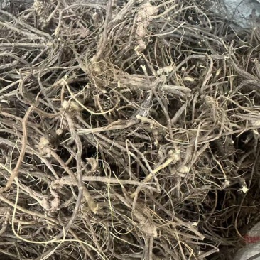 威灵仙云南野生威灵仙大货批发产地直发需要的老板详谈