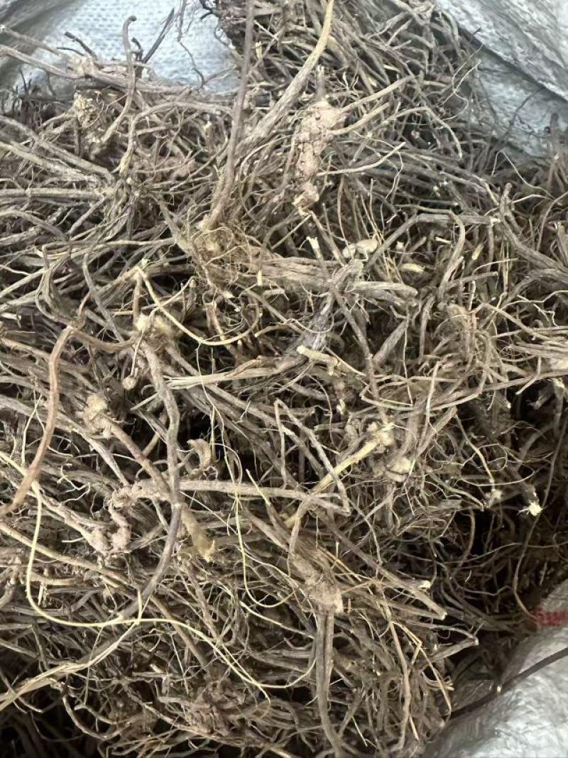 威灵仙云南野生威灵仙大货批发产地直发需要的老板详谈