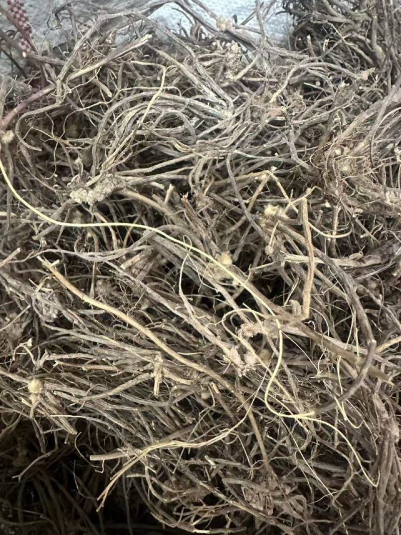 威灵仙云南野生威灵仙大货批发产地直发需要的老板详谈
