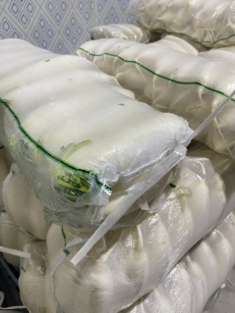萝卜产地一手货源保质保量现洗打冷装车欢迎来电