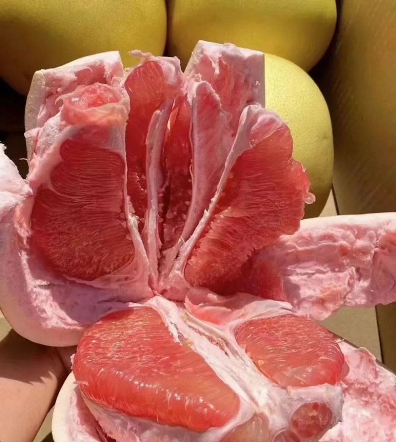 湖北枝江红心柚三红柚产地一手货源皮薄肉厚