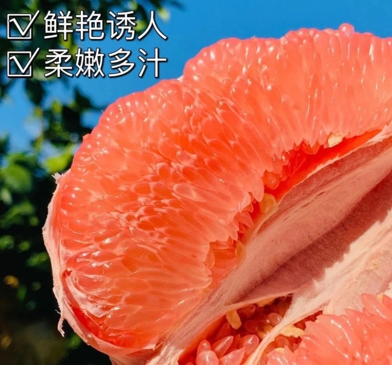 湖北枝江红心柚三红柚产地一手货源皮薄肉厚