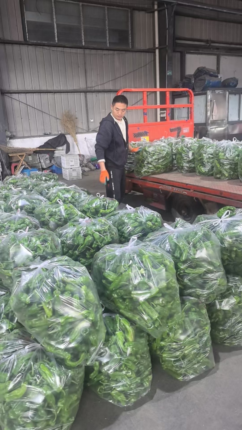 薄皮椒青椒芜湖椒淮安地产精品新辣椒，价格不高