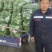 薄皮椒青椒芜湖椒淮安地产精品新辣椒，价格不高