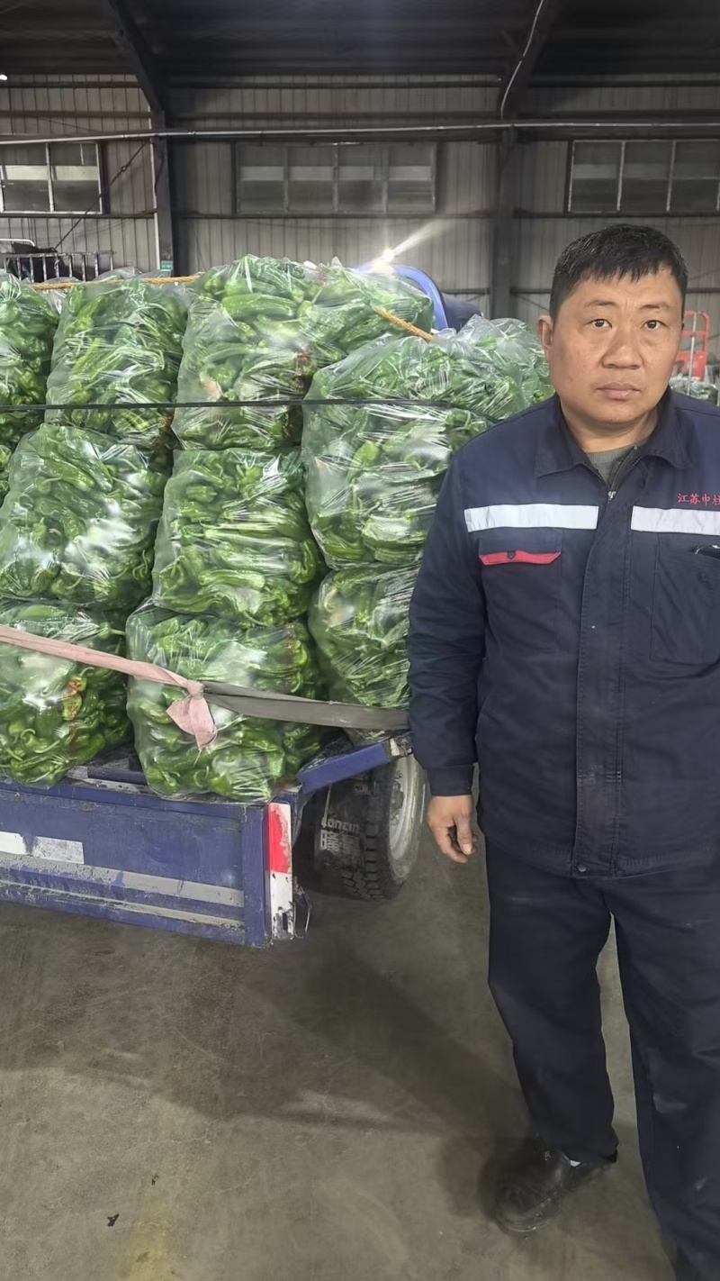 薄皮椒青椒芜湖椒淮安地产精品新辣椒，价格不高