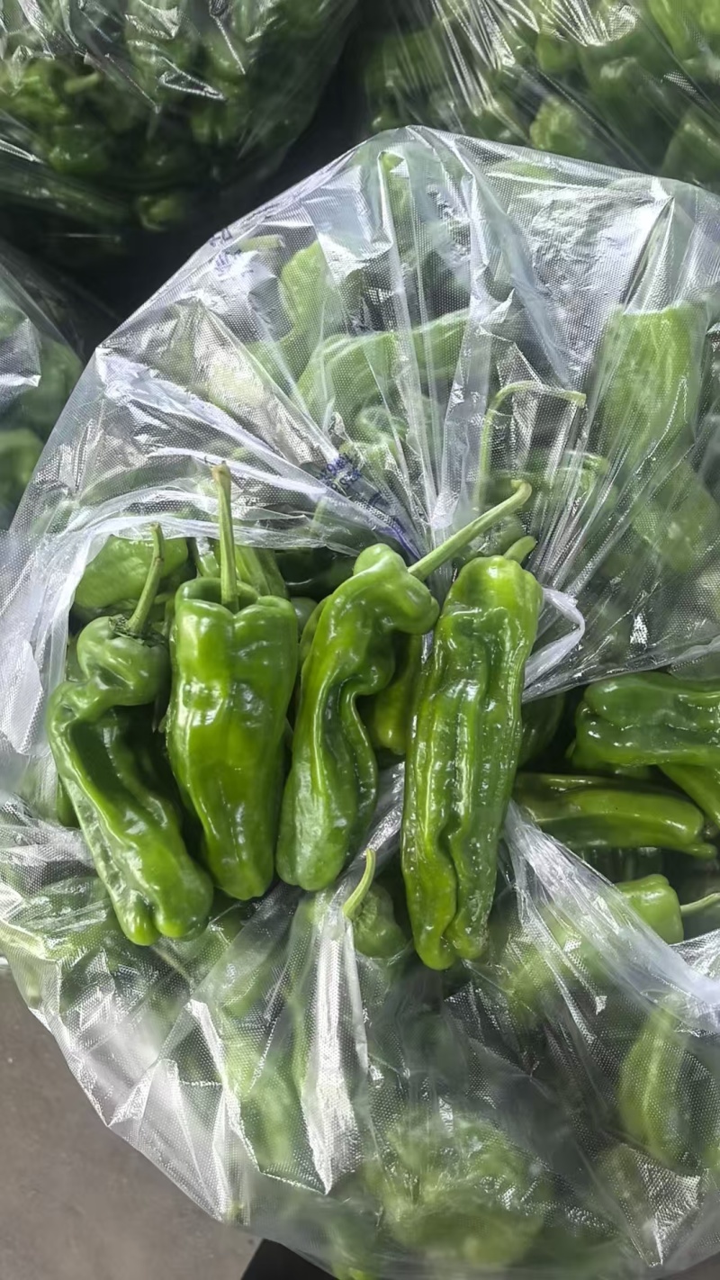 薄皮椒青椒芜湖椒淮安地产精品新辣椒，价格不高