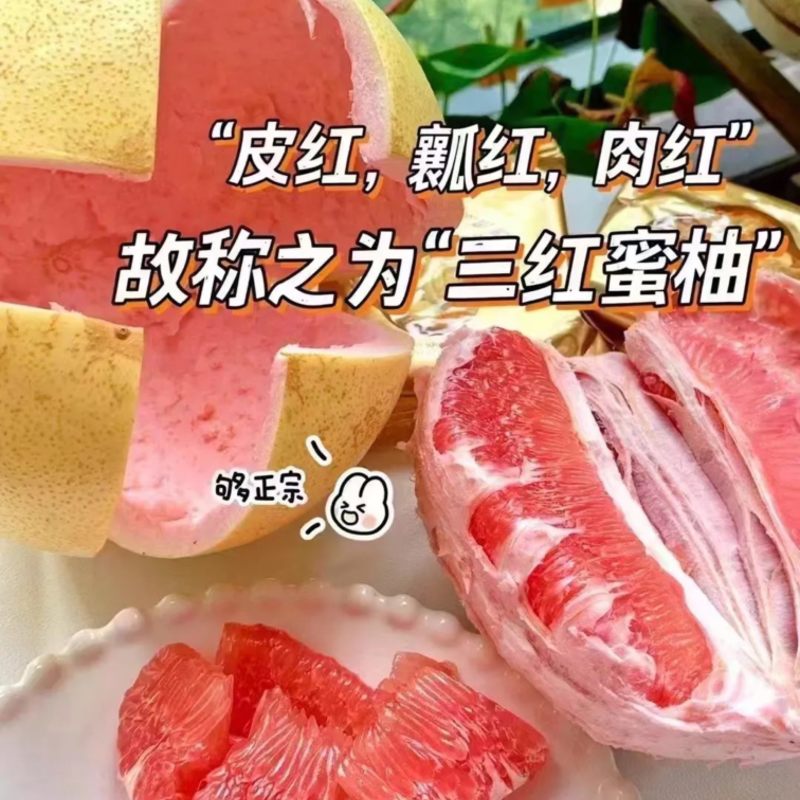 三红柚大量上市品质保证价格优惠批发电商一件代发