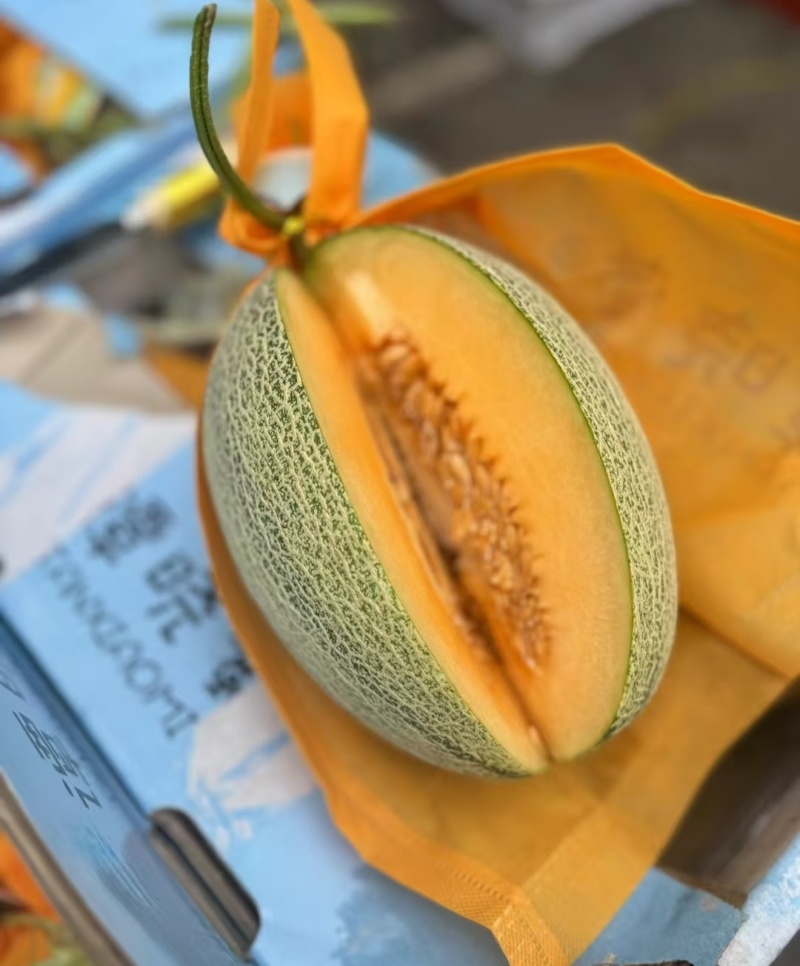 海南哈密瓜/晓蜜25哈密瓜（一手货源）规格齐全/量大从优