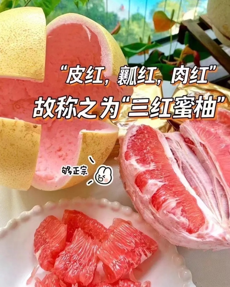 三红柚大量上市品质保证价格优惠批发电商一件代发