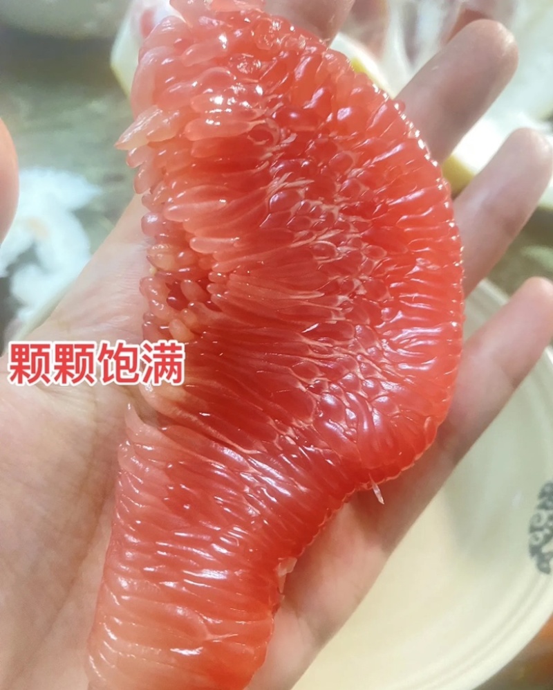 三红柚大量上市品质保证价格优惠批发电商一件代发