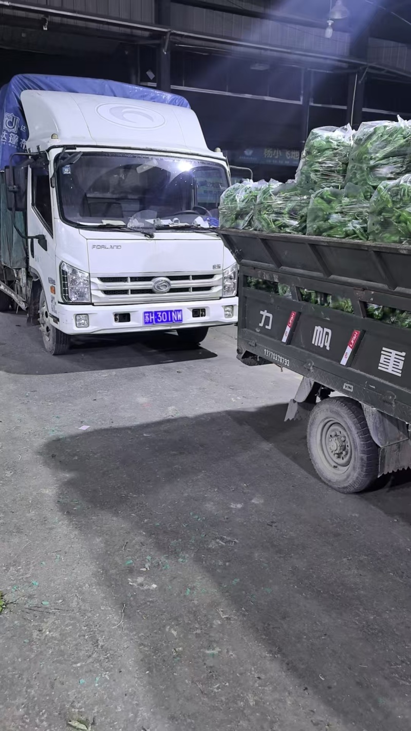 地产辣椒青椒苏椒薄皮椒芜湖椒可视频看货欢迎来电