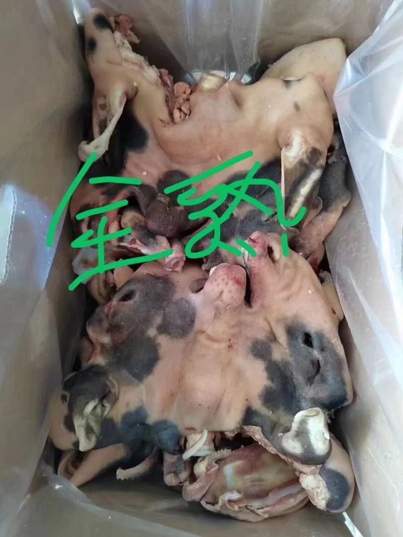 【熟羊肉】熟羊脸肉长期供应，质量保证！厂家直发保质保量