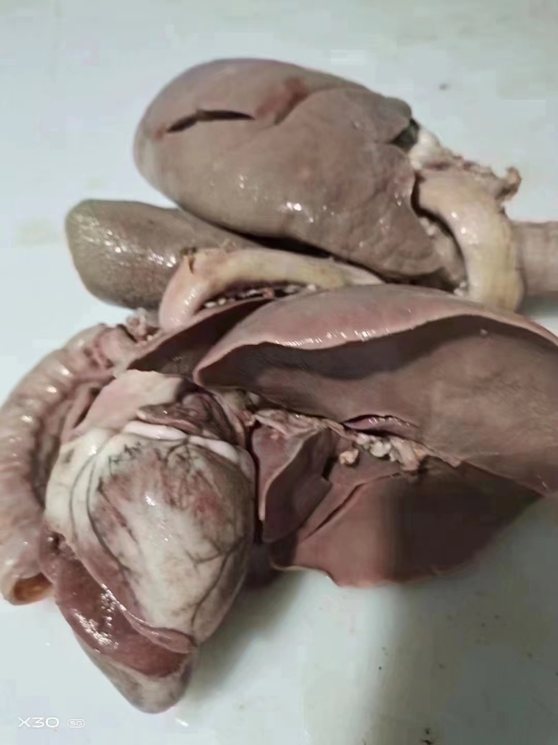 【熟羊肉】熟羊脸肉长期供应，质量保证！厂家直发保质保量