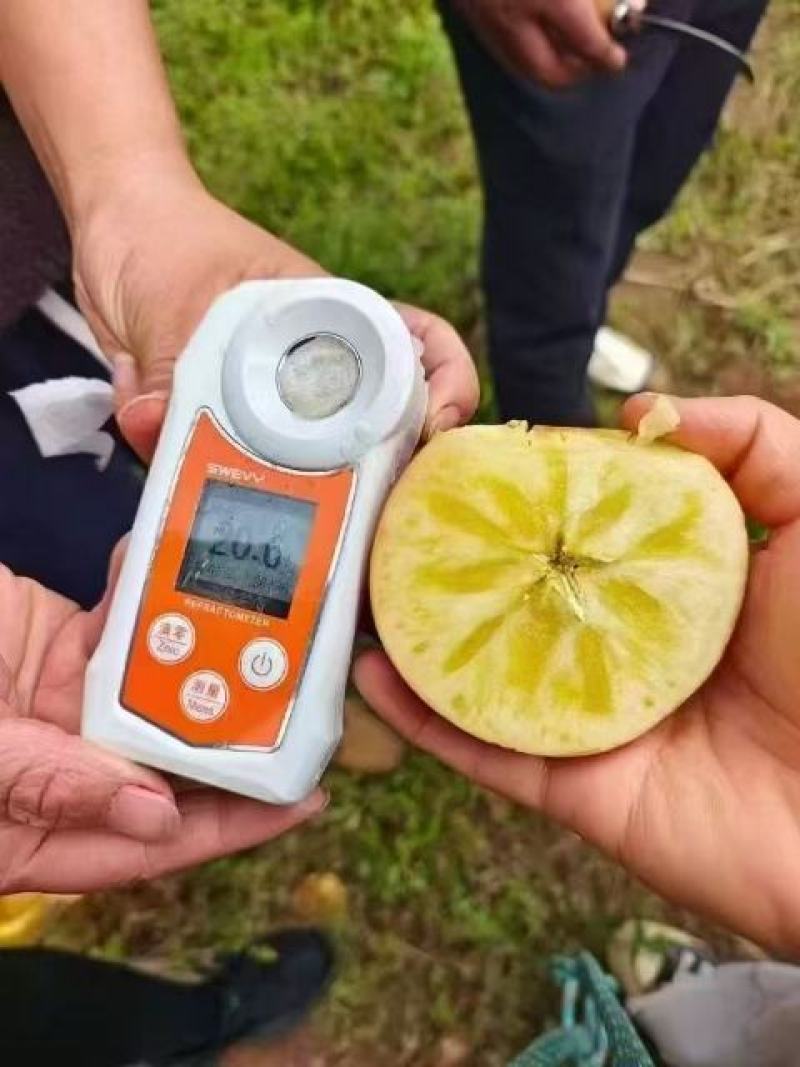 云南丽江高山丑苹果产地直发量大价优欢迎随时电话联系