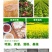 氮钾复合肥叶绿壮苗增产增收水果蔬菜通用肥
