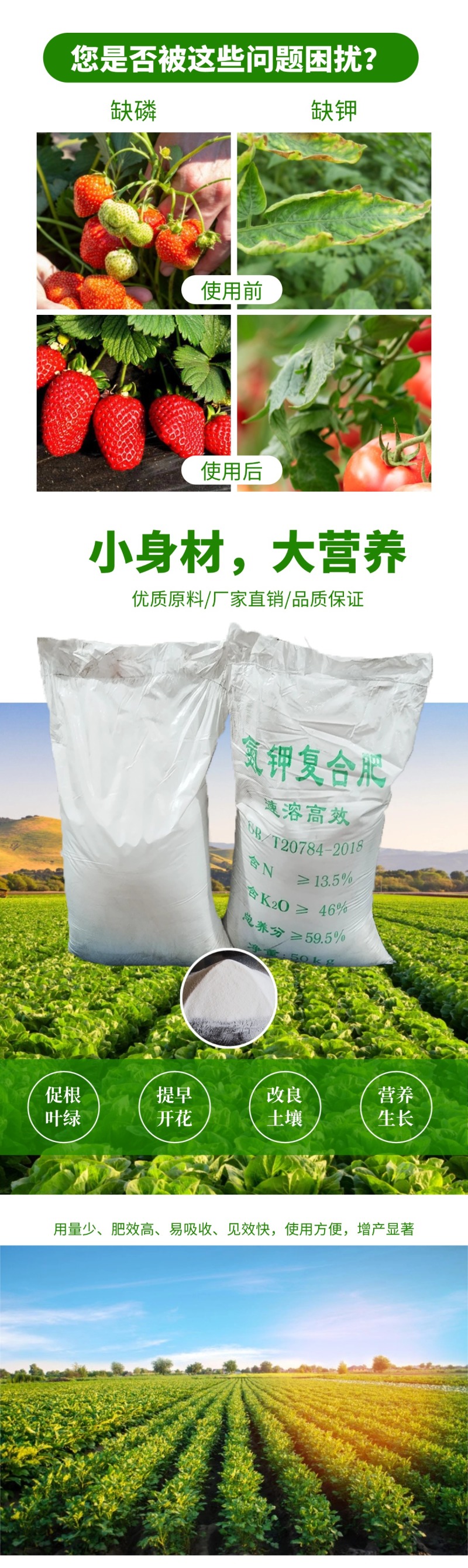 氮钾复合肥叶绿壮苗增产增收水果蔬菜通用肥
