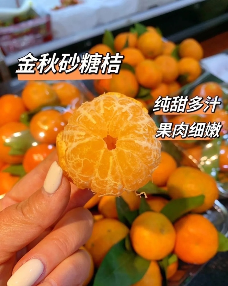 砂糖橘产地直销大量供应一手货源诚信经营货好