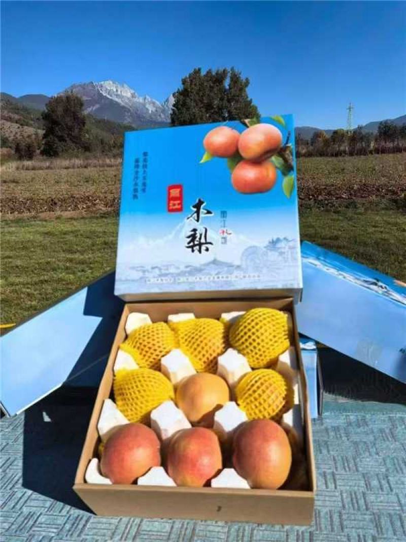 云南丽江精品木梨产地货源充足量大价优全国发货欢迎随时洽谈