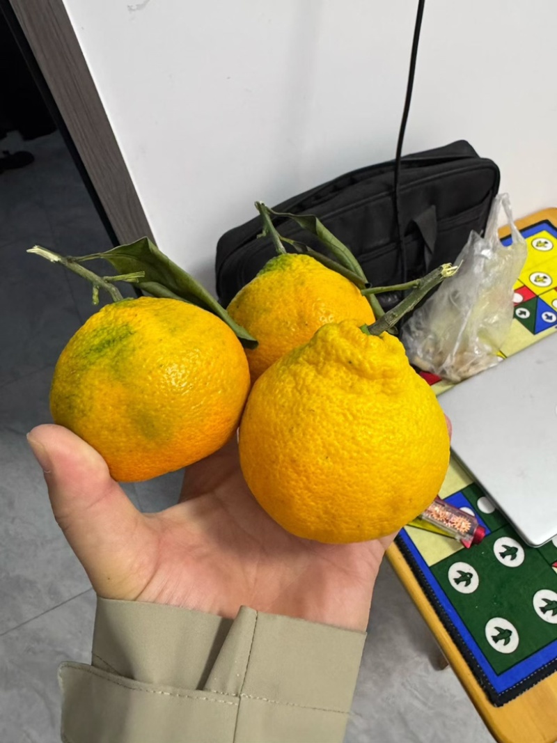 丑橘大量供应一手原产地价格便宜质量对接电商快递一件代发