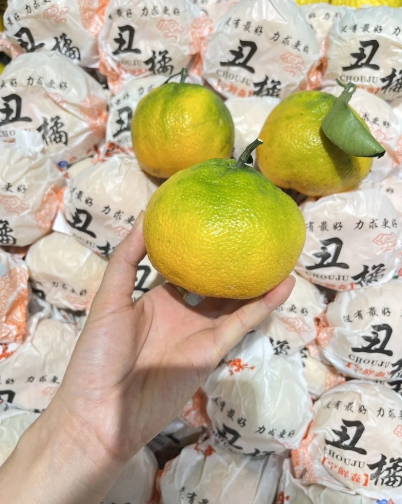 丑橘大量供应一手原产地价格便宜质量对接电商快递一件代发