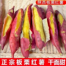临潼板栗红薯大量上市，干面甜无丝无虫眼，质量保证诚信第一
