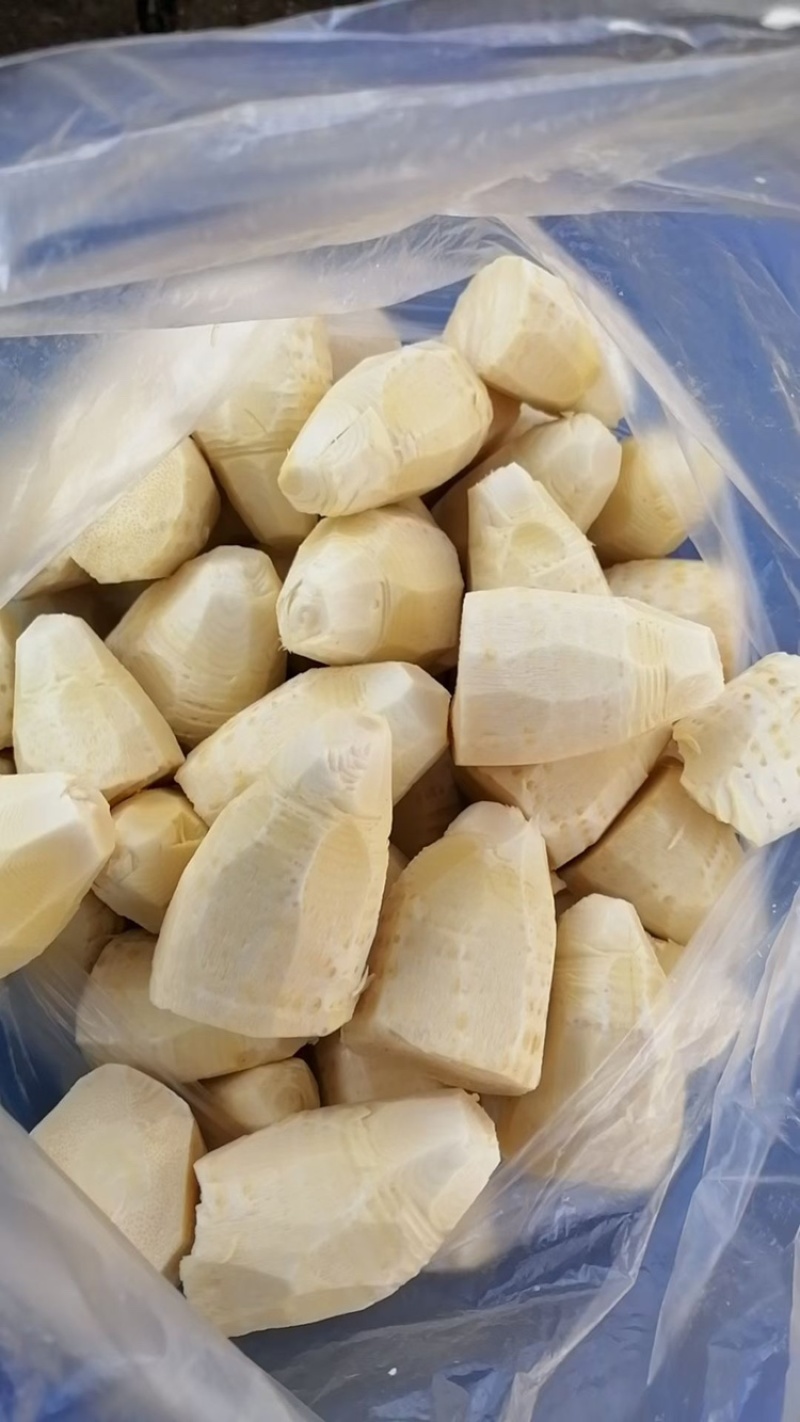 赣南优质黄泥巴冬笋上市中！需要的可以联系我
