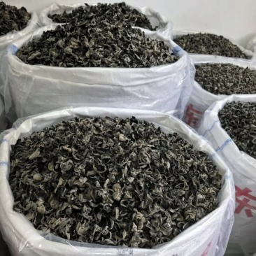 黑木耳，全国发货，价格可谈，质量有保障，欢迎联系