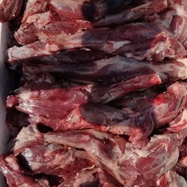 兔肉/兔腿/量大价优现货先发/可视频看货/欢迎下单