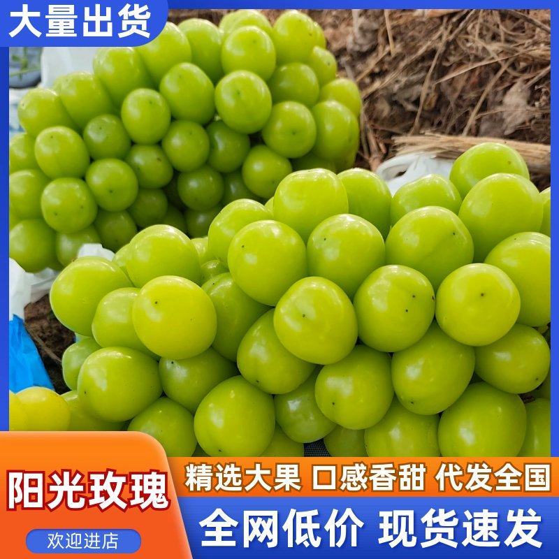 辽宁北镇晴王阳光玫瑰葡萄产地直发市场商超一手货源来电详谈