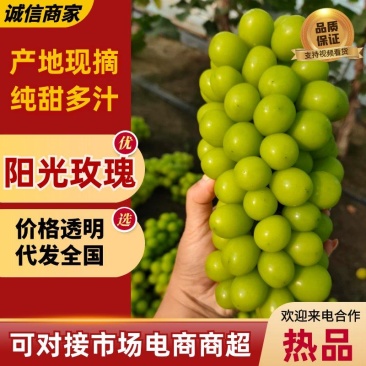 【优选】晴王阳光玫瑰葡萄货源充足直发全国承接各大电商平台