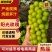 【优选】晴王阳光玫瑰葡萄货源充足直发全国承接各大电商平台