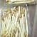 花生芽自己养植品质保证欢迎采购
