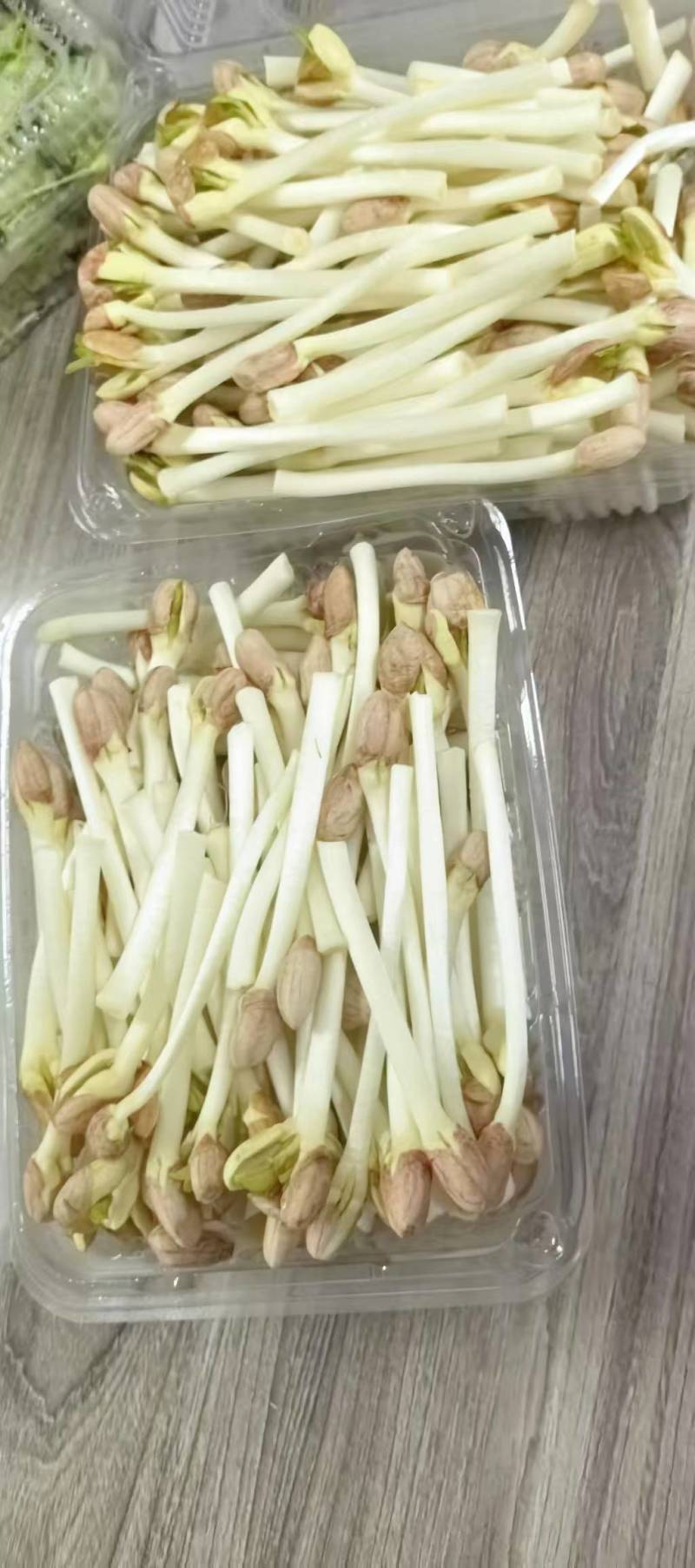 花生芽自己养植品质保证欢迎采购