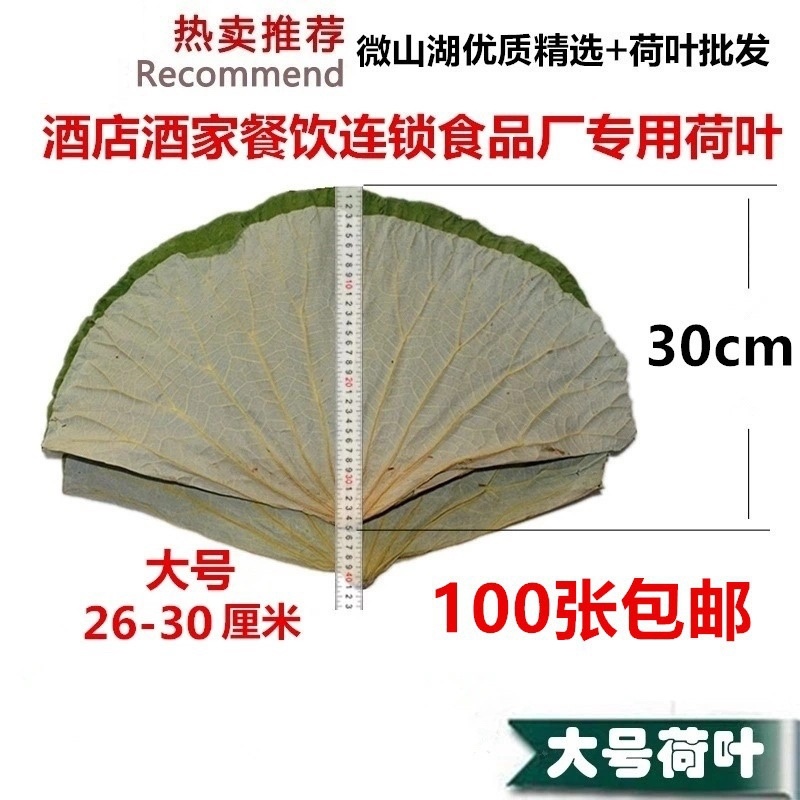 荷叶2025新山东微山湖区荷叶整张荷叶包糯米鸡