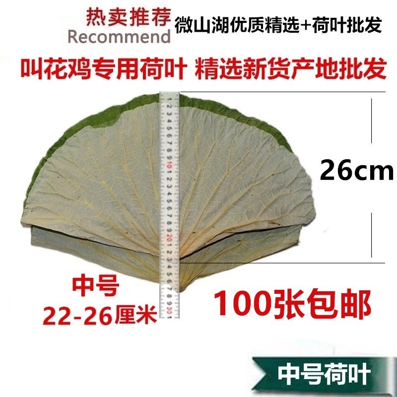 荷叶2025新山东微山湖区荷叶整张荷叶包糯米鸡