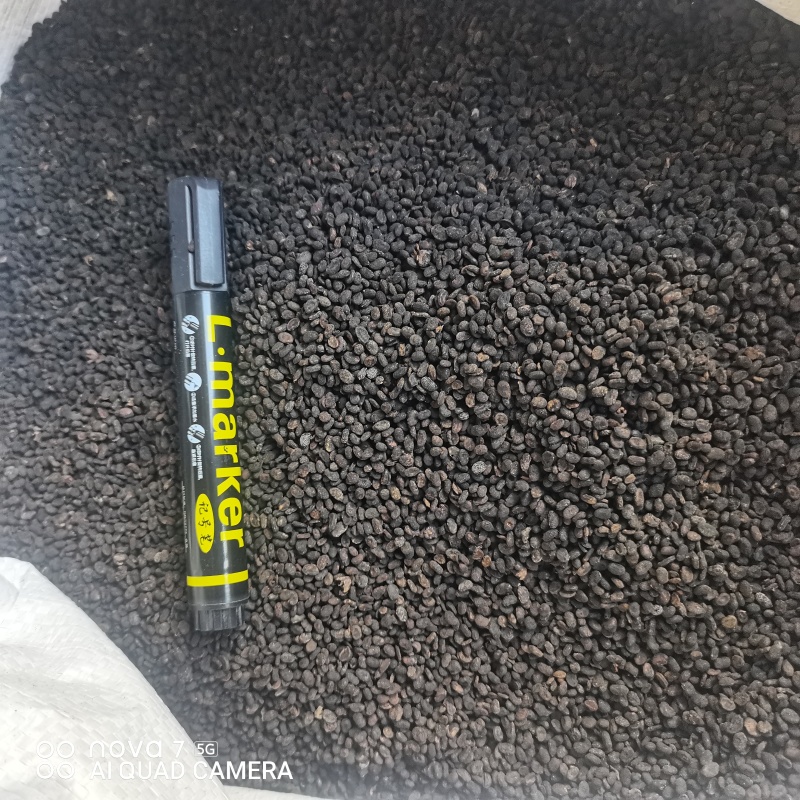 补骨脂生补骨脂炒补骨脂规格齐全支持一件代发