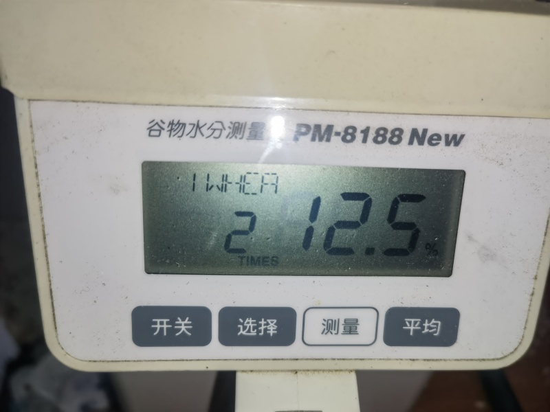 3号2龙麦60856吨容重844g12.5水分
