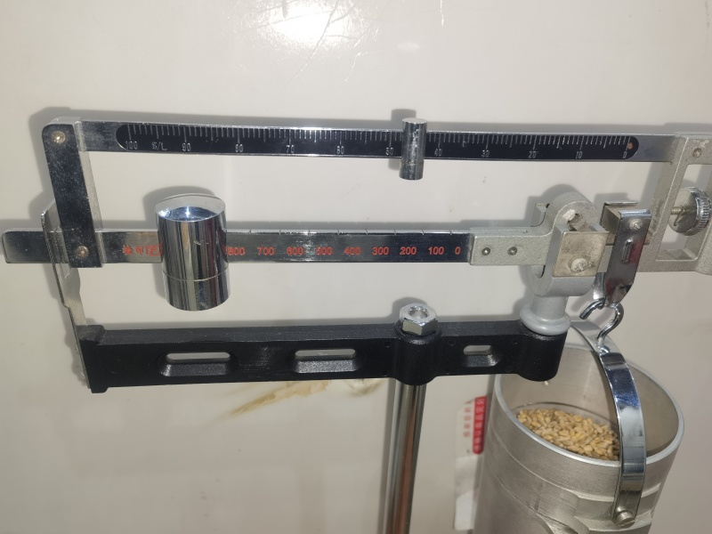 3号2龙麦60856吨容重844g12.5水分