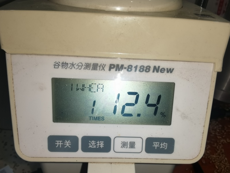 3号2龙麦60856吨容重844g12.5水分