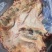 【牛护心肉-求合作】批发一件50斤牛罗肌肉牛护心肉