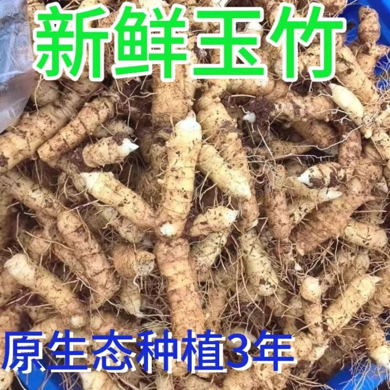新鲜玉竹(湿玉竹)新鲜无污染，现挖现发对接全国一条龙服务