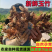 新鲜玉竹(湿玉竹)新鲜无污染，现挖现发对接全国一条龙服务