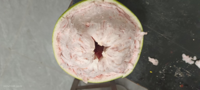 三红柚次贸