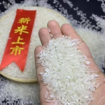 松花江稻花清香米，口感香甜